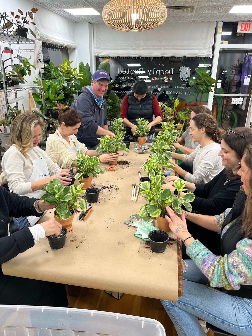 Deeply Rooted (Ridgewood’s Little Plant Shop)