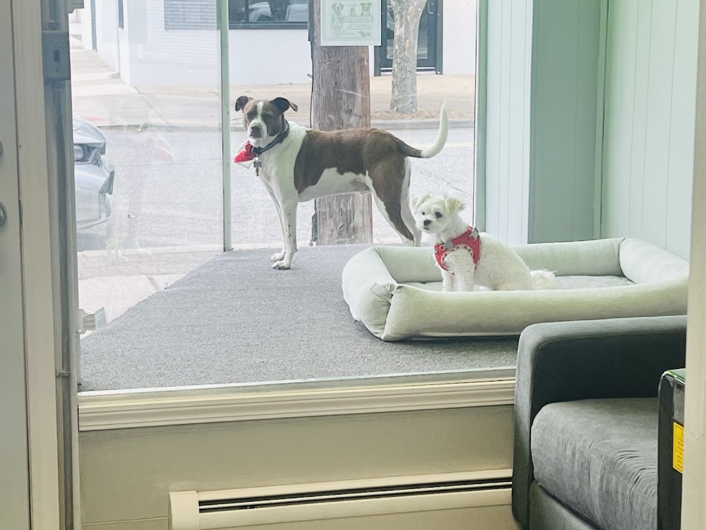 Keenan Canine Care